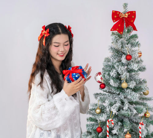 Best Store to Buy Artificial Christmas Tree in Ho Chi Minh City